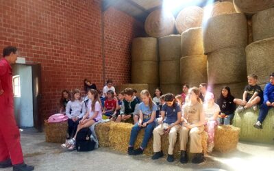 Klasse 5b besuchte Bauernhof von Herrn Reyers