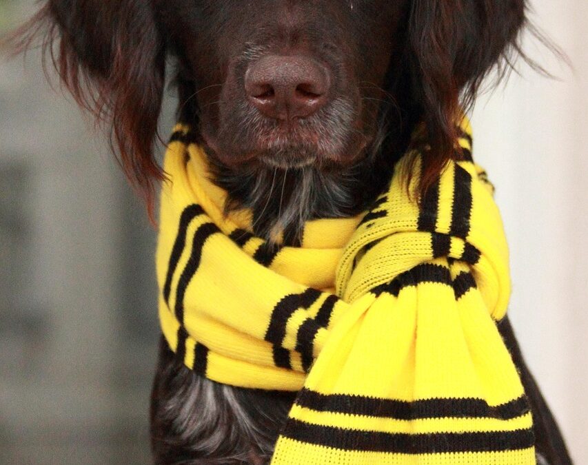 Elfer in das Achtelfinale – Die spannende Partie der 1. Bundesliga