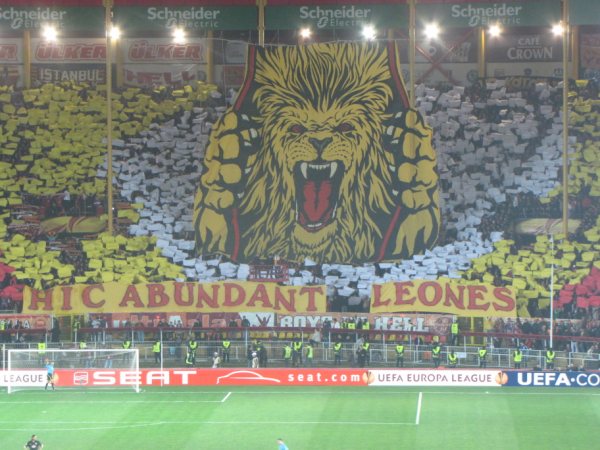 Die „Löwen“ triumphierten!