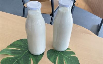 SmoothieVerse: Zwischen Vitaminrausch und Wirtschaftsfrust