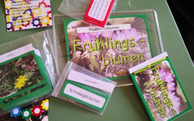 Elternwerkstatt 2026