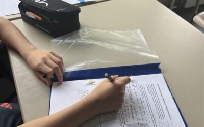 Coaching bei Frau Hoenzelaer – Helfen und dazulernen