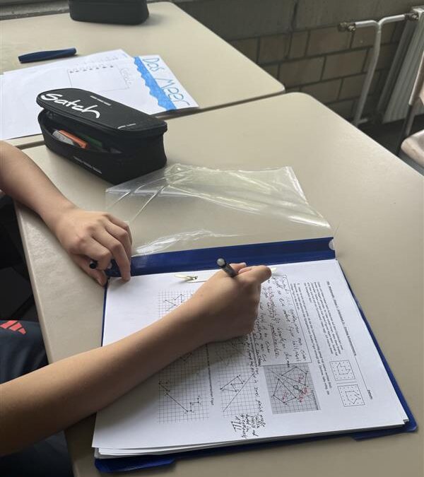 Coaching bei Frau Hoenzelaer – Helfen und dazulernen