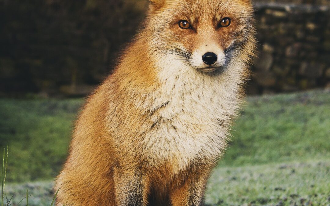 Once upon a broken heart